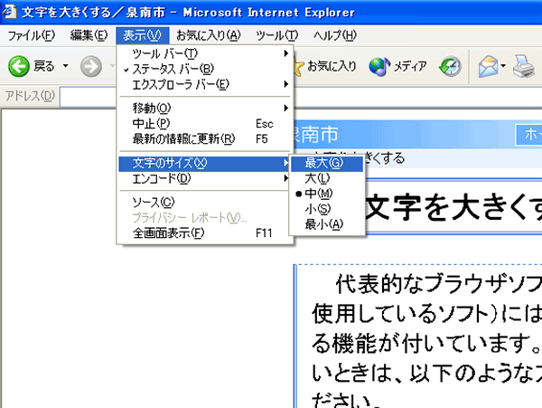 インターネットエクスプローラーの場合の図解