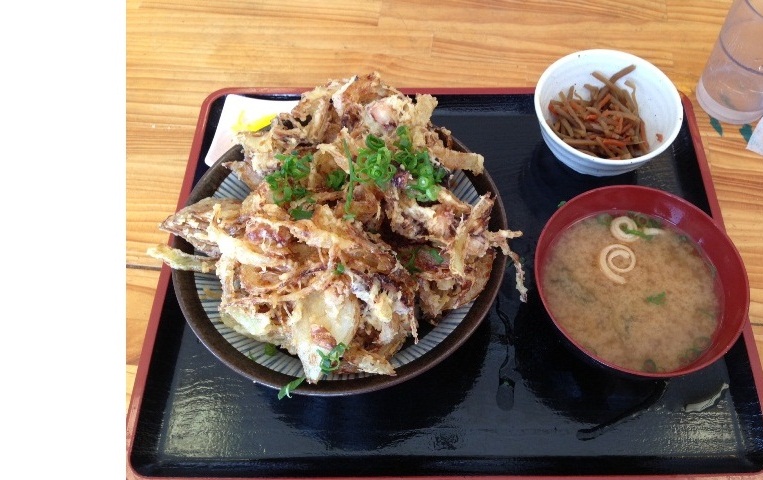 (写真)泉州かき揚げ丼