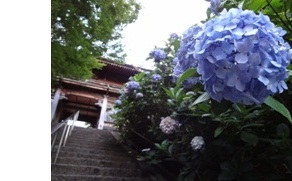 (写真)長慶寺