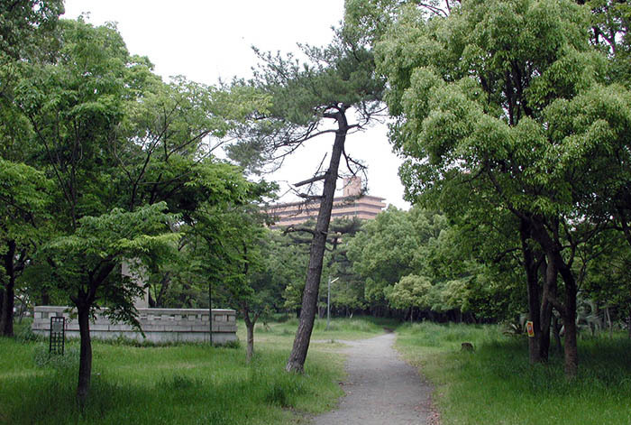 (写真)天神ノ森(てんじんのもり)遺跡