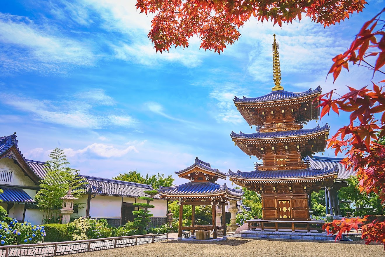 秋の長慶寺