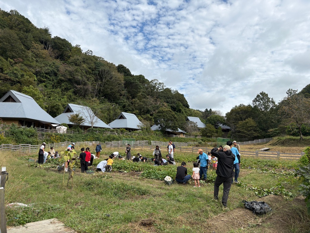 芋ほり体験2025_レポート1