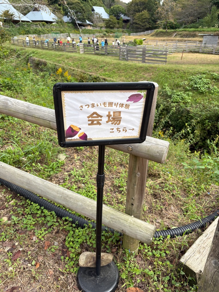 芋ほり体験2025_レポート2