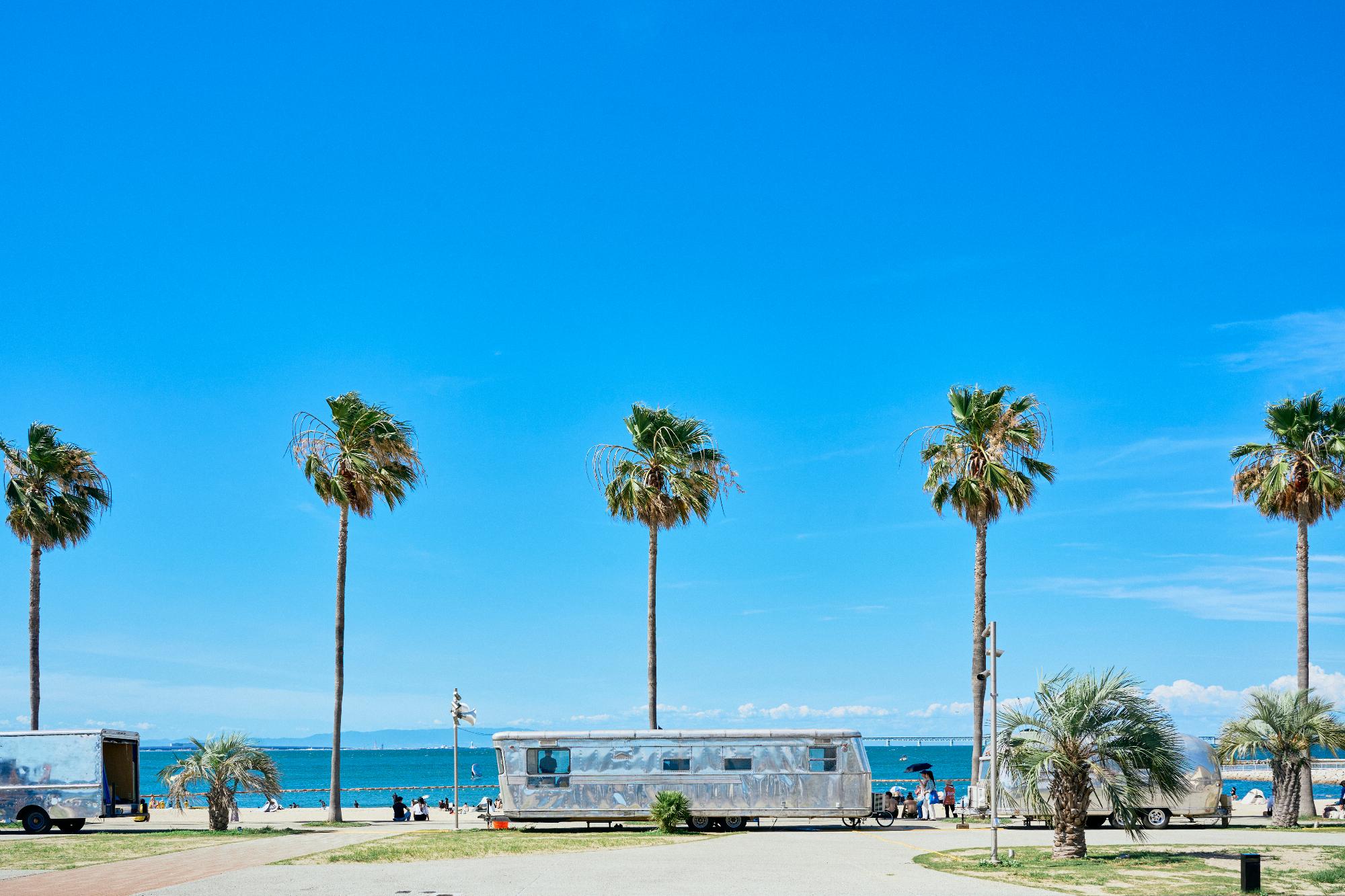 タルイサザンビーチ2025レポート2