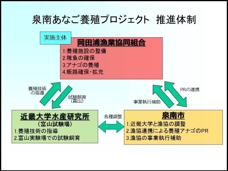 泉南あなご養殖プロジェクト推進体制