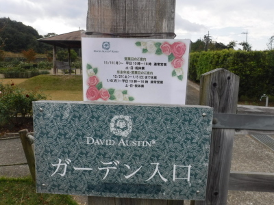 営業日の写真