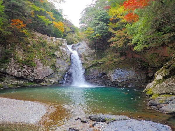 十津川村入賞4