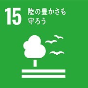 SDGsアイコン15：陸上資源