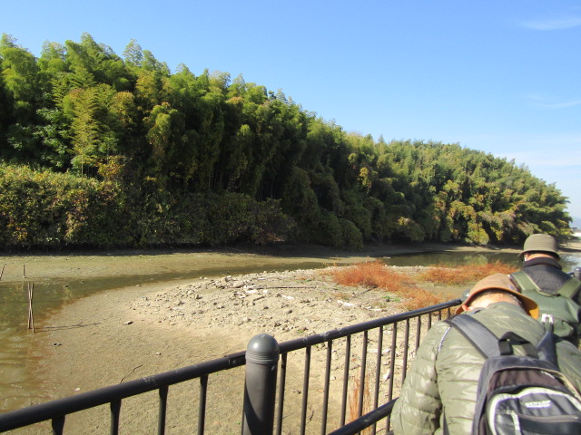 第4回まいぶんまちあるき講座（島の山古墳）