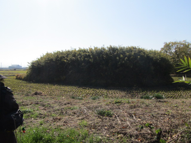 第4回まいぶんまちあるき講座（寺の前古墳）