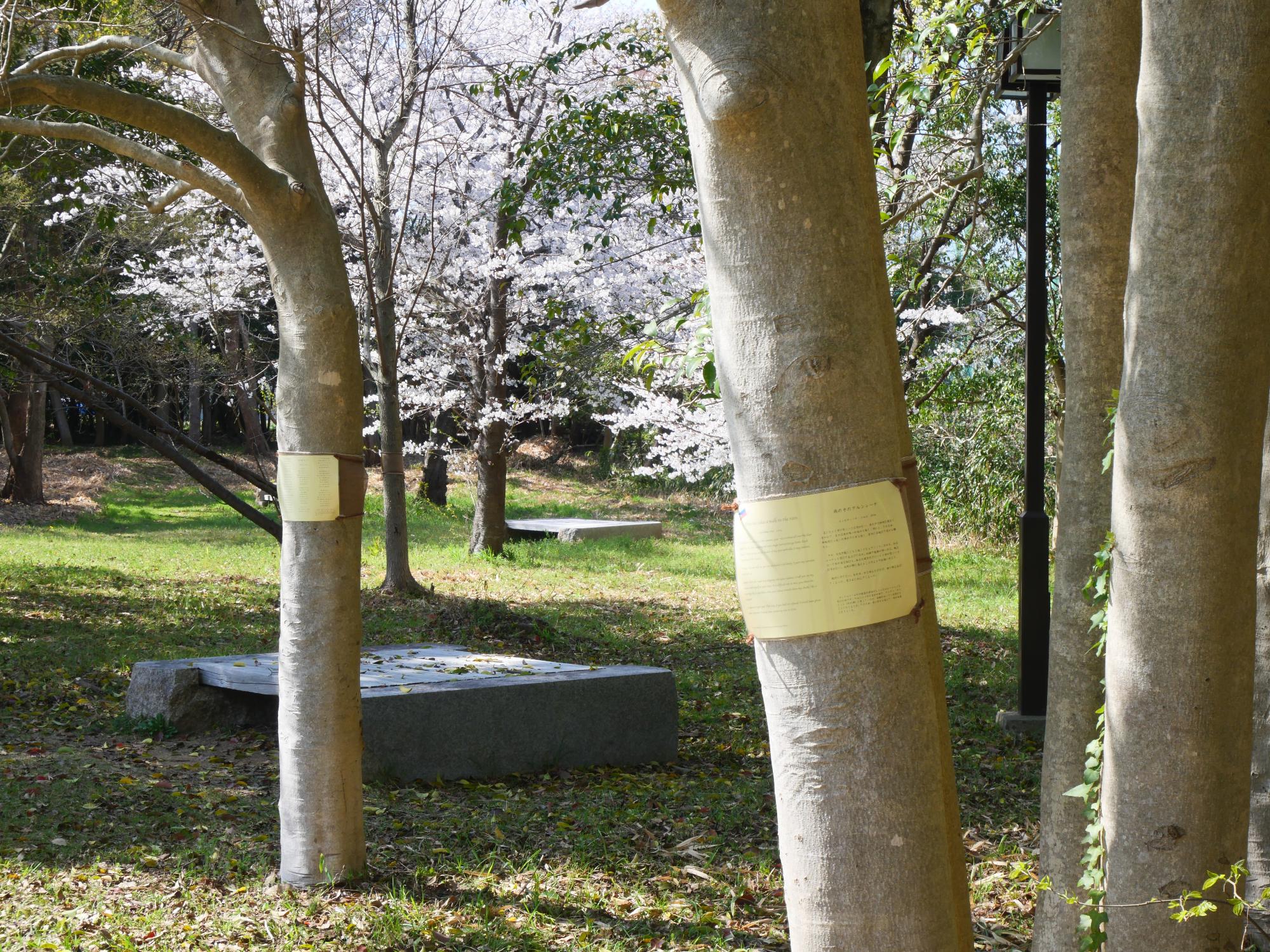 koinouta3