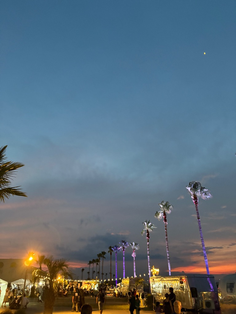 AuroraPalmTree2025レポート2