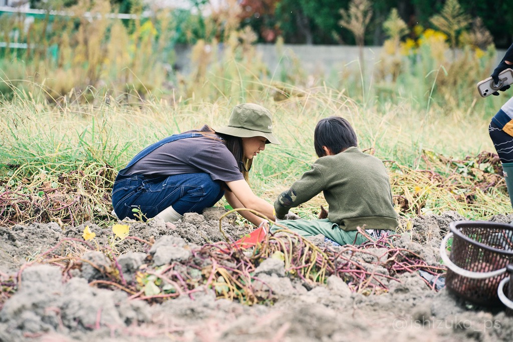 せんなん自然学校＿芋ほり＿レポート3