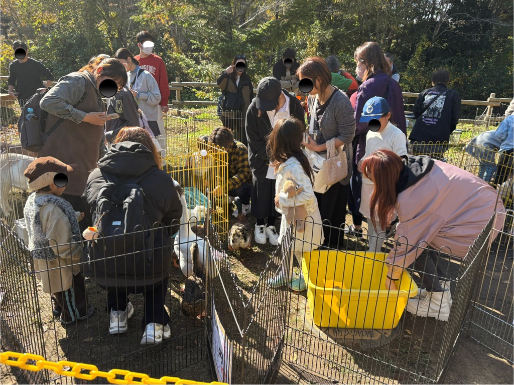 わいわい村ふれあい動物園＿レポート2