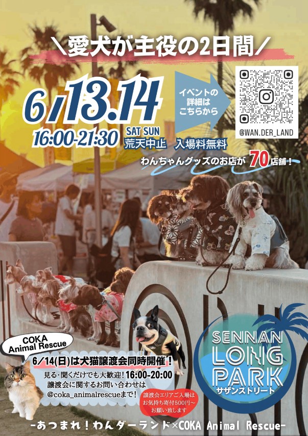 atsumare_wonderland202606